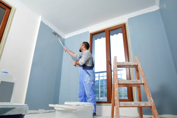 Best Water Damage & Mold Remediation  in Cameron, MO