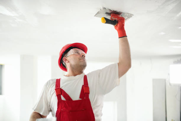 Cameron, MO Mold Removal Company
