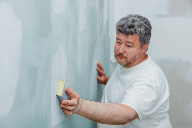 Best Mold Damage Restoration  in Cameron, MO